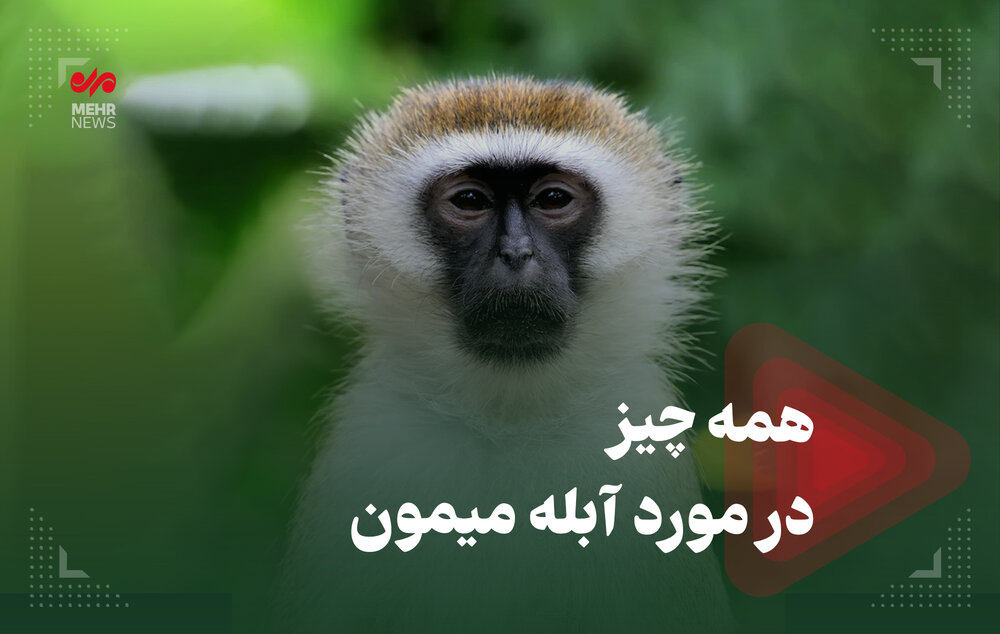 آبله میمون