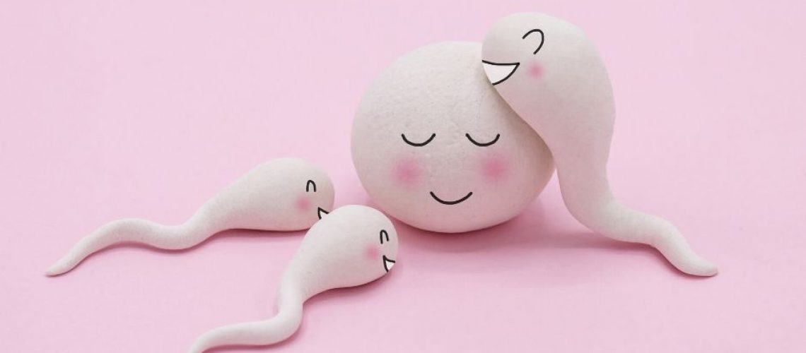 AMH (هورمون آنتی مولرین)